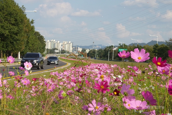 메인사진