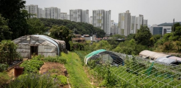 서울 서초구 내곡동 일대 개발제한구역 (뉴스1)