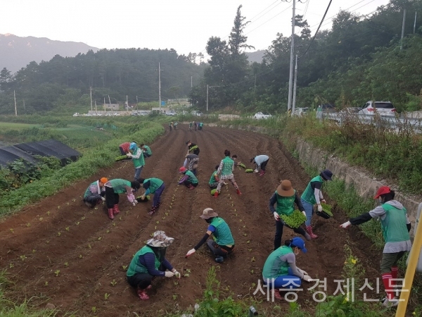 계룡시청 제공