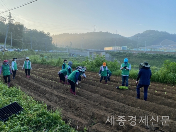 계룡시청 제공