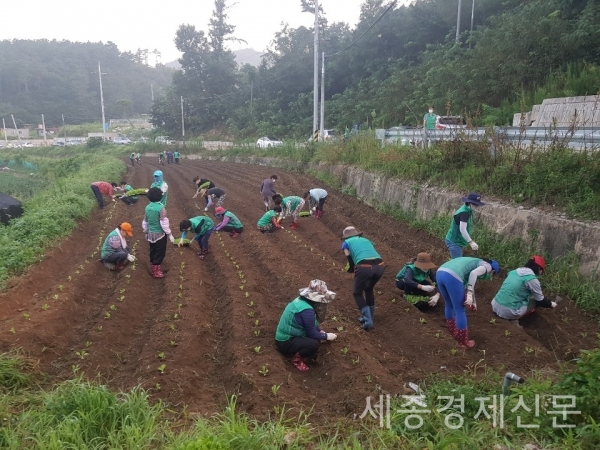 계룡시청 제공